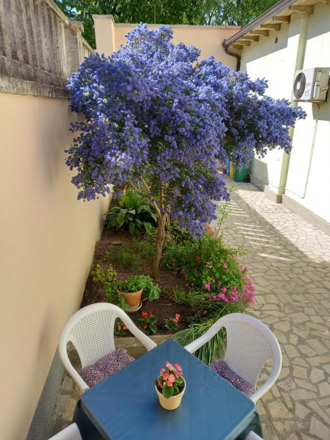Apartment Punta Pula Buitenkant foto